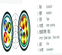 电缆结构图